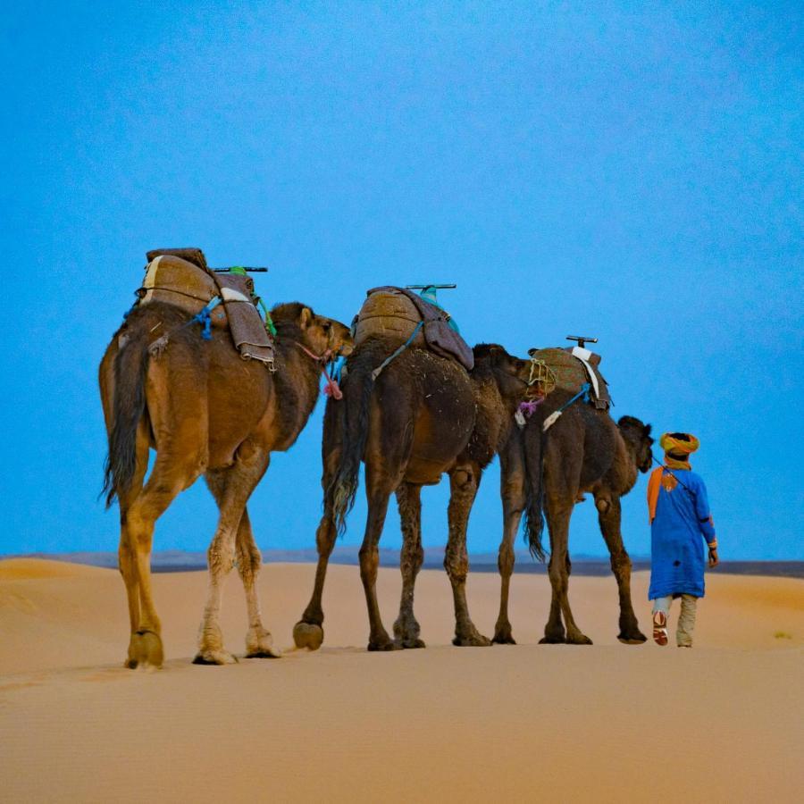 Authentic Desert Luxury Camp 梅尔祖卡 外观 照片